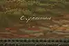 Thumbnail image 12