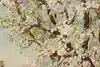 Thumbnail image 7