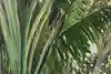 Thumbnail image 9