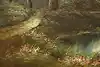 Thumbnail image 9