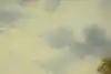 Thumbnail image 11