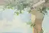 Thumbnail image 7