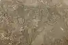 Thumbnail image 12