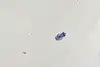 Thumbnail image 8