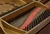 Thumbnail image 31