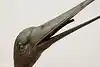 Thumbnail image 12