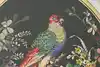 Thumbnail image 9