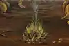 Thumbnail image 9