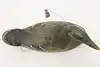 Thumbnail image 6