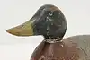 Thumbnail image 3