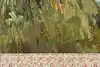 Thumbnail image 14