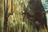 Thumbnail image 8