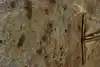Thumbnail image 9