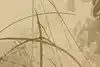 Thumbnail image 9