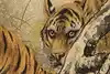 Thumbnail image 8