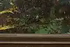 Thumbnail image 13