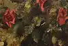 Thumbnail image 6