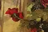 Thumbnail image 7