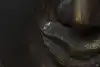 Thumbnail image 5