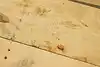 Thumbnail image 12