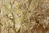 Thumbnail image 10