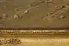 Thumbnail image 15