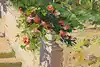 Thumbnail image 11