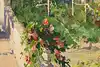 Thumbnail image 13