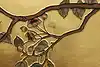 Thumbnail image 11
