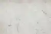 Thumbnail image 7
