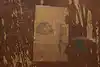 Thumbnail image 14