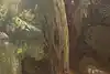 Thumbnail image 10
