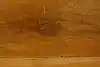 Thumbnail image 18