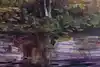 Thumbnail image 10