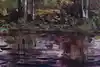 Thumbnail image 8