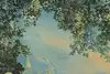 Thumbnail image 7
