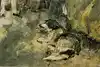 Thumbnail image 9