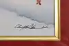 Thumbnail image 14