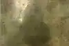 Thumbnail image 5