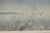 Thumbnail image 6