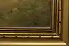 Thumbnail image 11