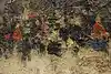 Thumbnail image 11
