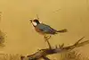 Thumbnail image 9