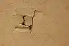Thumbnail image 16