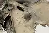 Thumbnail image 8