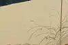 Thumbnail image 11