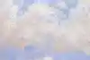 Thumbnail image 15
