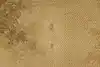 Thumbnail image 10