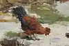 Thumbnail image 7
