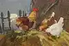 Thumbnail image 8